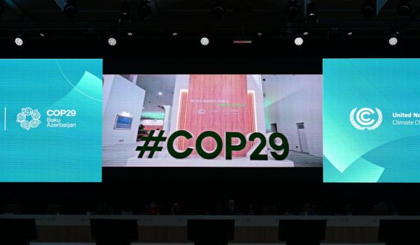 COP29 başladığı gün ilk uğuruna imza atıb