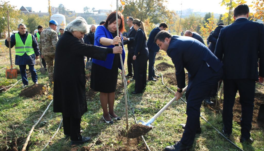 GDU-nun əməkdaşları Zəfər Gününə həsr olunmuş ağacəkmə aksiyasında