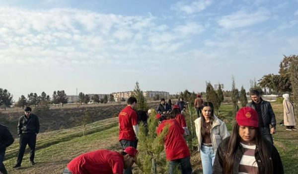 GDU-nun kollektivi ağacəkmə aksiyasında iştirak etmişdir
