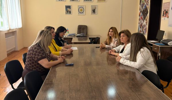 Əlilliyi olan tələbələrin psixoloji dəstəklənməsi məqsədilə mentorluq proqramı müzakirə olunub
